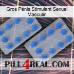 Gros Pénis Stimulant Sexuel Masculin 20